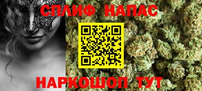 ешки Кингисепп
