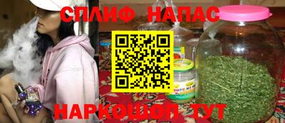 ешки Кингисепп