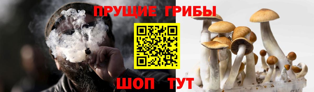 Чехов  Псилоцибиновые грибы прущие грибы  где можно купить   Псилоцибиновые грибы мухоморы  Вход с VPN 